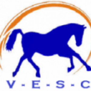 cropped-vesc-LOGO-3-e1546974063276.png